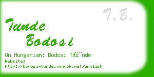 tunde bodosi business card